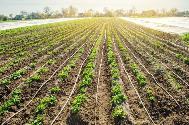 Underground Irrigation Service in Honolulu, HI