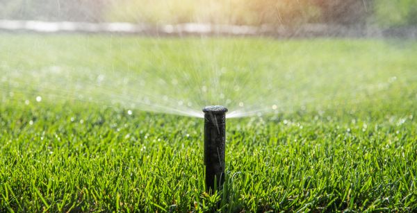 Garden Sprinkler Installation