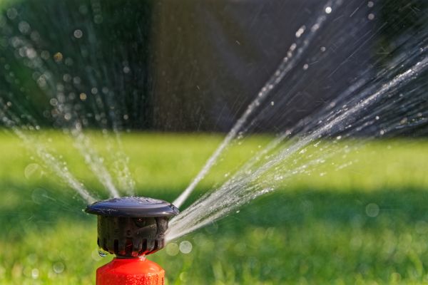 Lawn Sprinkler Installation
