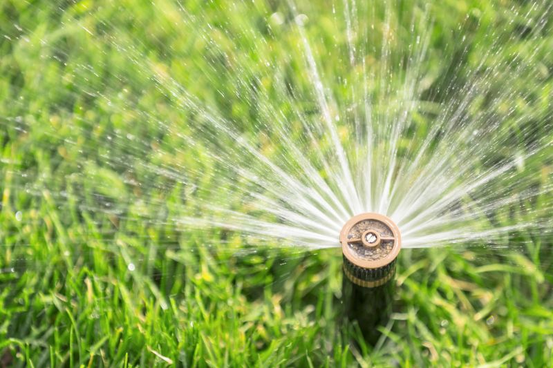 Lawn Sprinkler Service