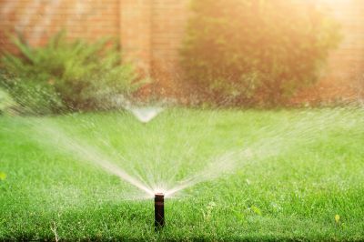Lawn Sprinkler Service