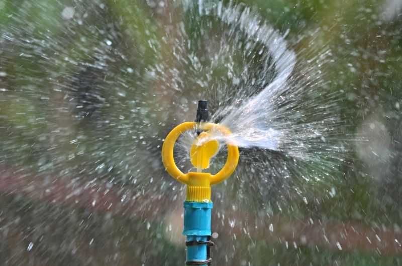 Lawn Sprinkler Service