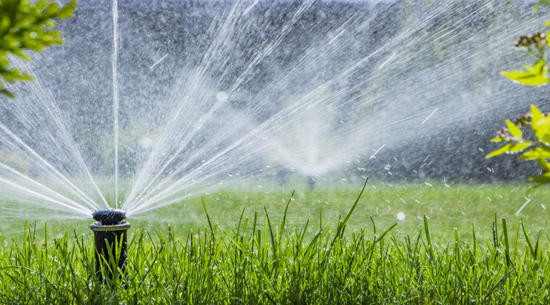 Lawn Sprinkler Service